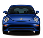 The front of a blue beetle