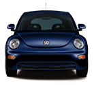The front of a dark blue beetle