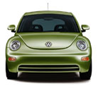 The front of a green beetle