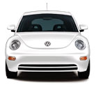 The front of a white beetle
